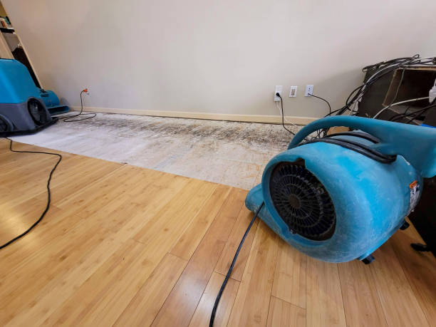 Professional Water Damage Repair technician working in Lesage, WV