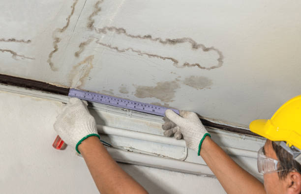 Affordable Water Damage Repair solutions in Lesage, WV